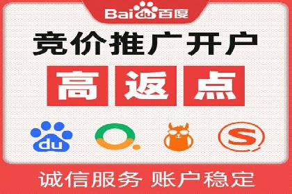 某电商平台的SEM广告投放策略及效果评估